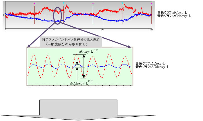 約５分間のヘモグロビン変化の計測記録グラフ